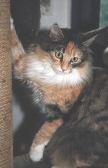 Brenda mit 1,5 Jahren