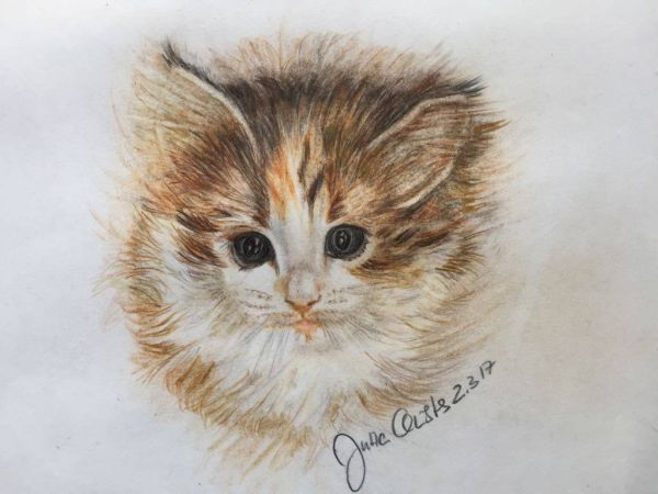 Zeichnung Jutta Christes